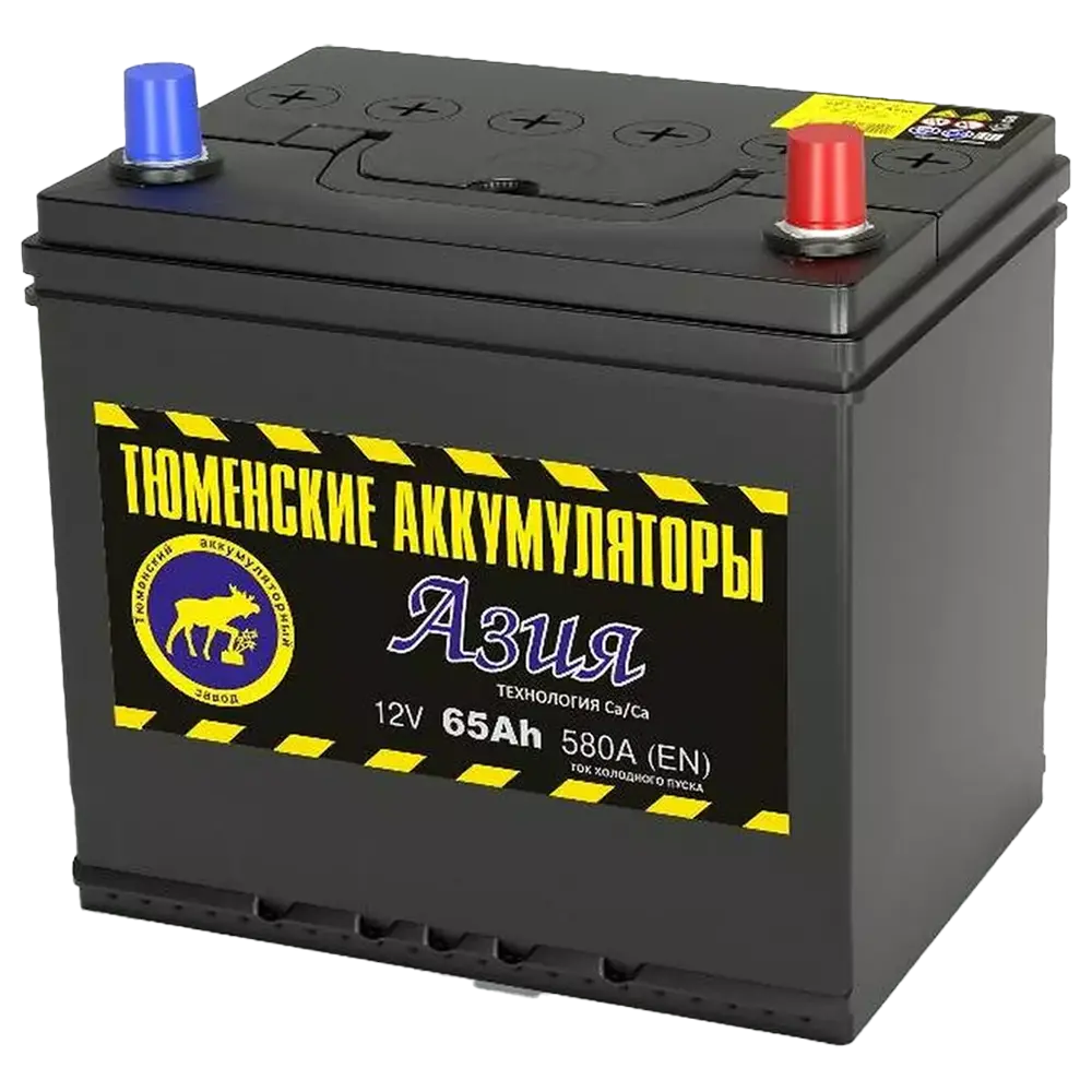 Тюмень 65 А/ч о.п. 580А 12V Asia