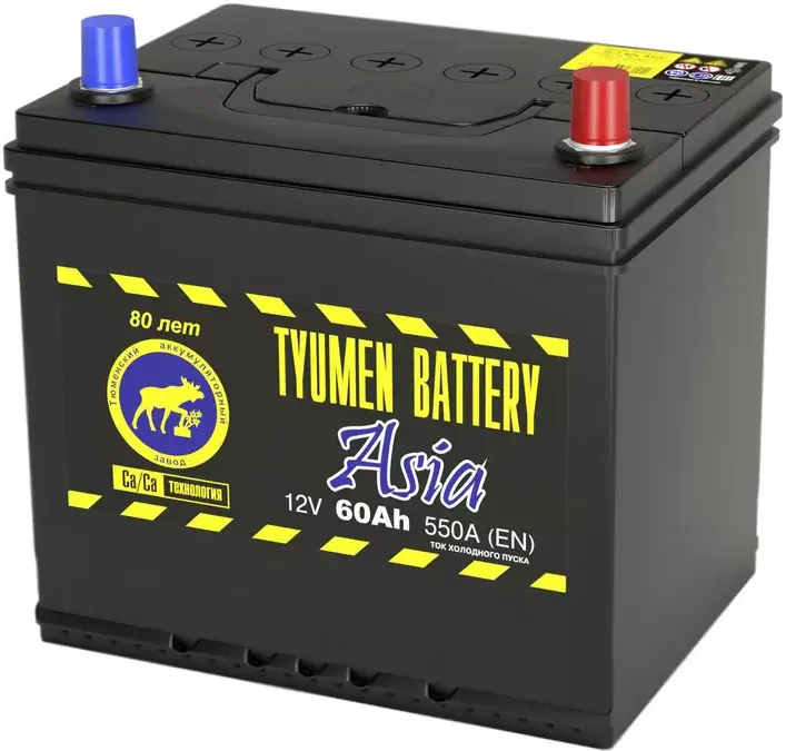 Тюмень 60 А/ч о.п. 550А 12V Asia