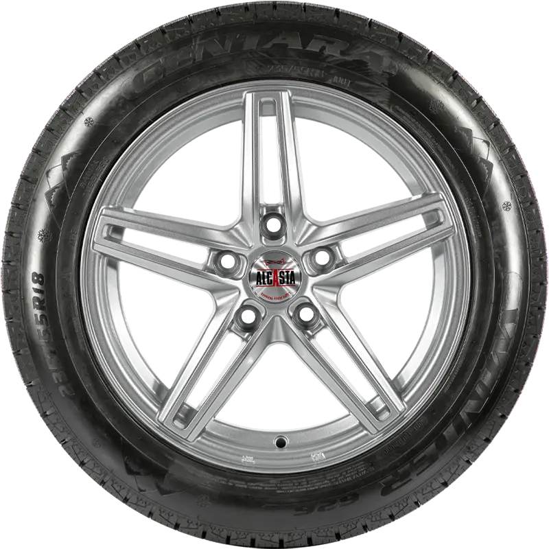 Описание Centara 245/45 R20 103T Winter RX626