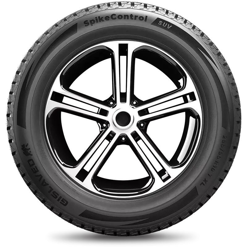 Описание Gislaved 195/65 R15 91T SpikeControl шип