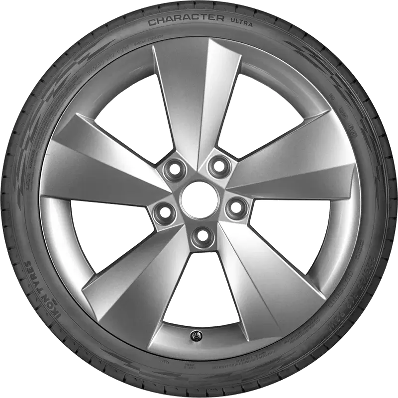 Описание Ikon 225/55 R17 101W Character Ultra