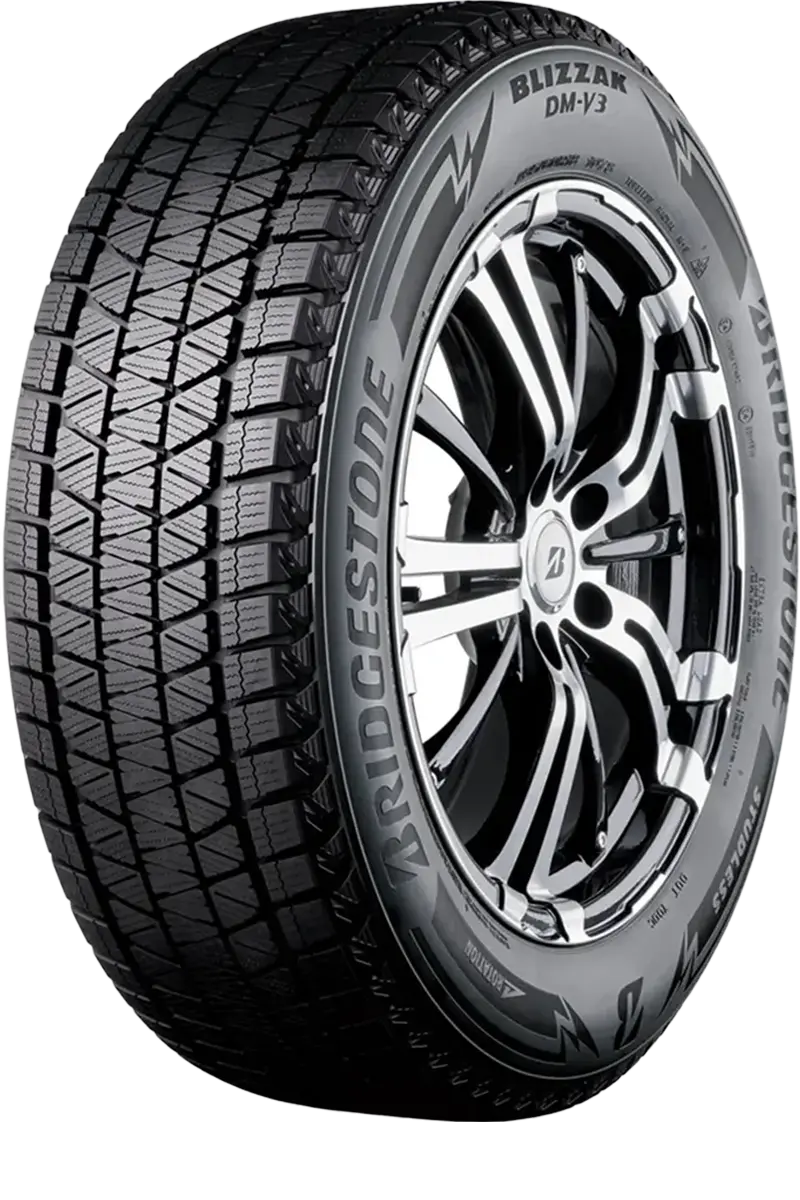 Bridgestone DM-V3 Blizzak