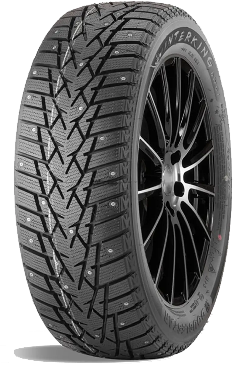 Double Star 225/65 R17 102T DW01 шип
